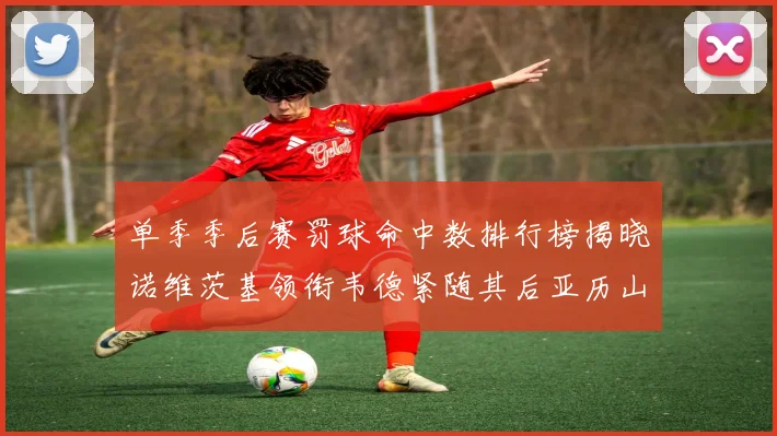 单季季后赛罚球命中数排行榜揭晓诺维茨基领衔韦德紧随其后亚历山大名列第四