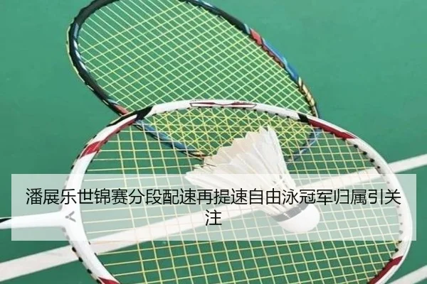 潘展乐世锦赛分段配速再提速自由泳冠军归属引关注