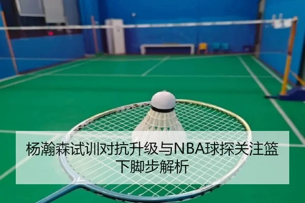杨瀚森试训对抗升级与NBA球探关注篮下脚步解析